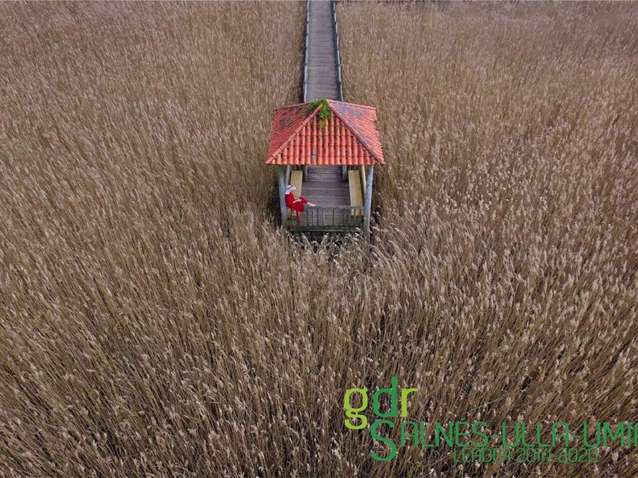 José Ramón Miguens Calvo