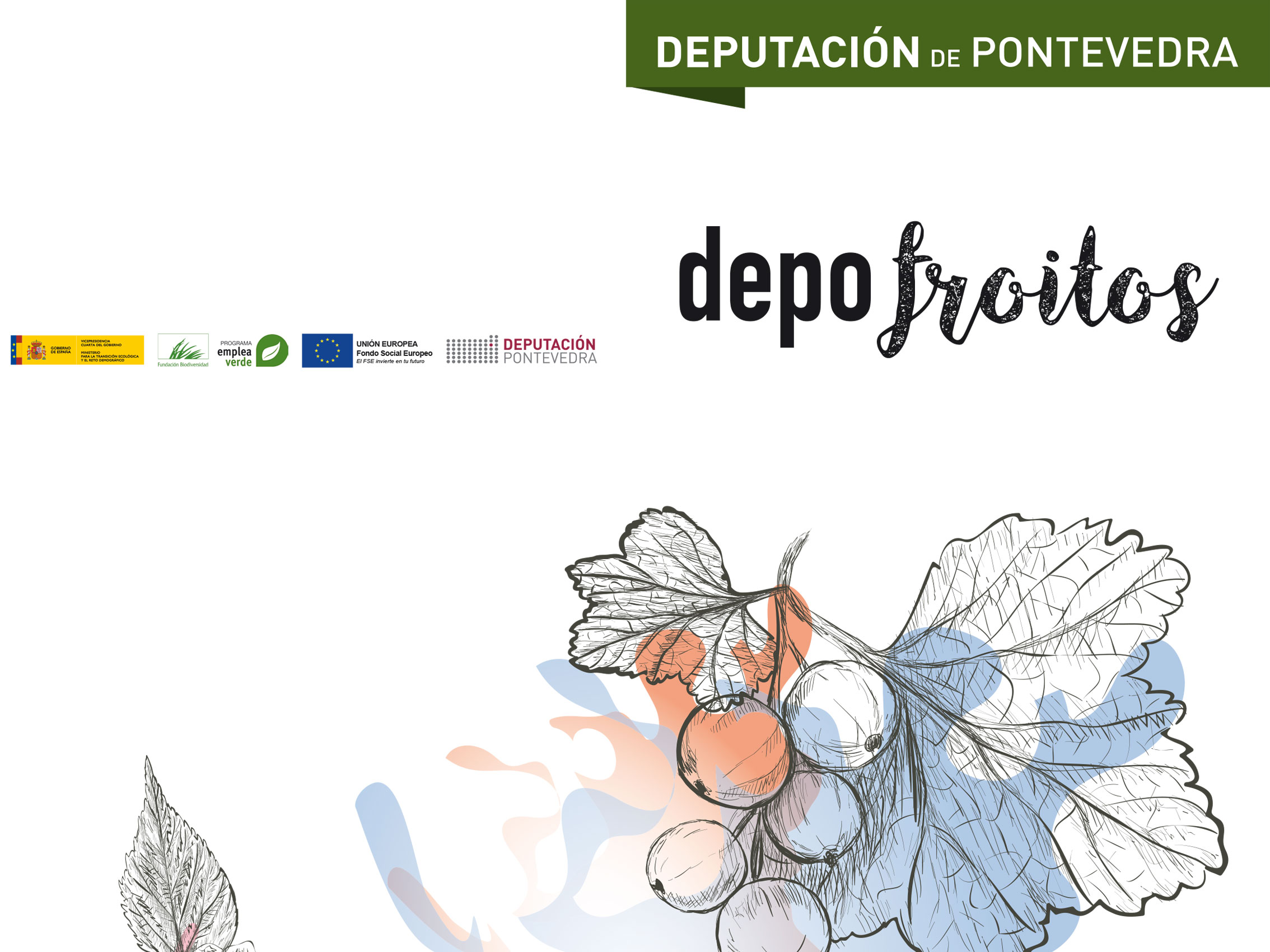 depo-froitos
