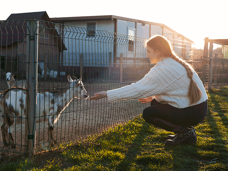 axuda-investimento-actividades-non-agricolas-2022