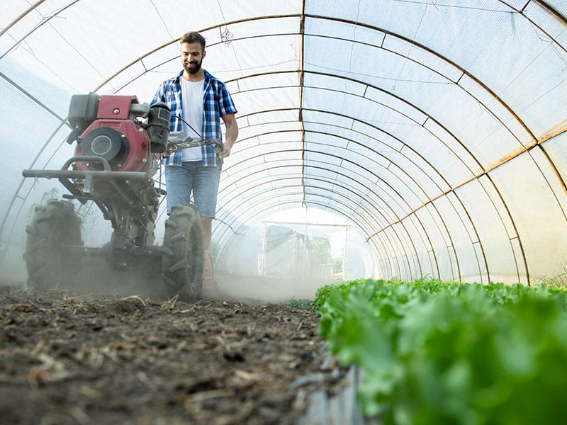 axudas-proxector-grupos-cooperativos-agricolas-2022