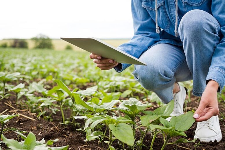axudas-proxectos-novos-productos-tecnoloxias-agroforestal-2022