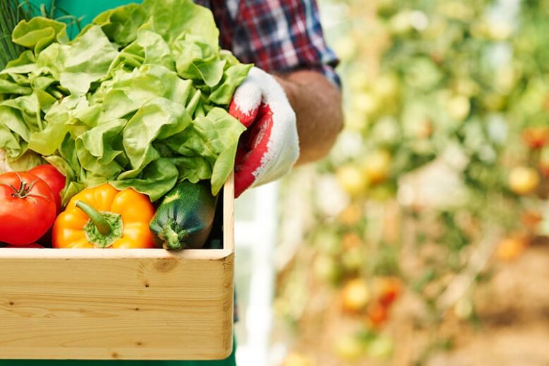 MR340A-Transformacion-y-comercializacion-de-productos-agrarios MR240A Axudas á trasnformación e comercialización de produtos agrarios