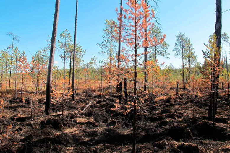 axudas-accions-silvicolas-danos-incendios-desastres-naturais