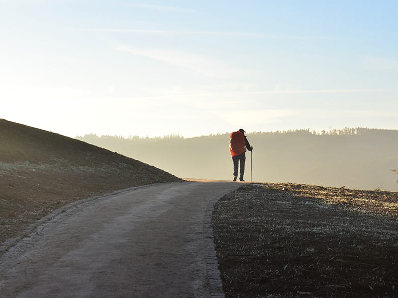 axudas-mellora-paisaxistica-camino-santiago