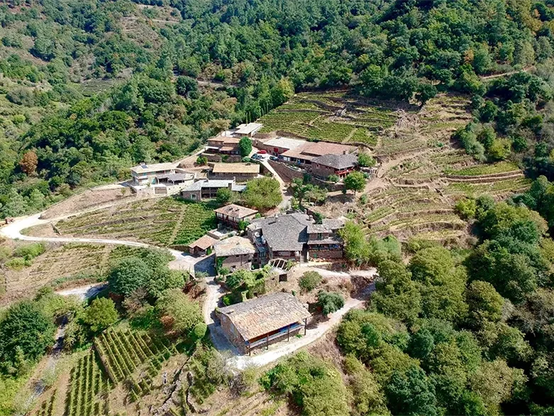 juana-de-vega