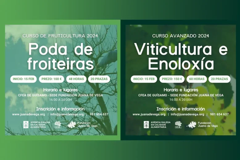 cursos-juana-de-vega