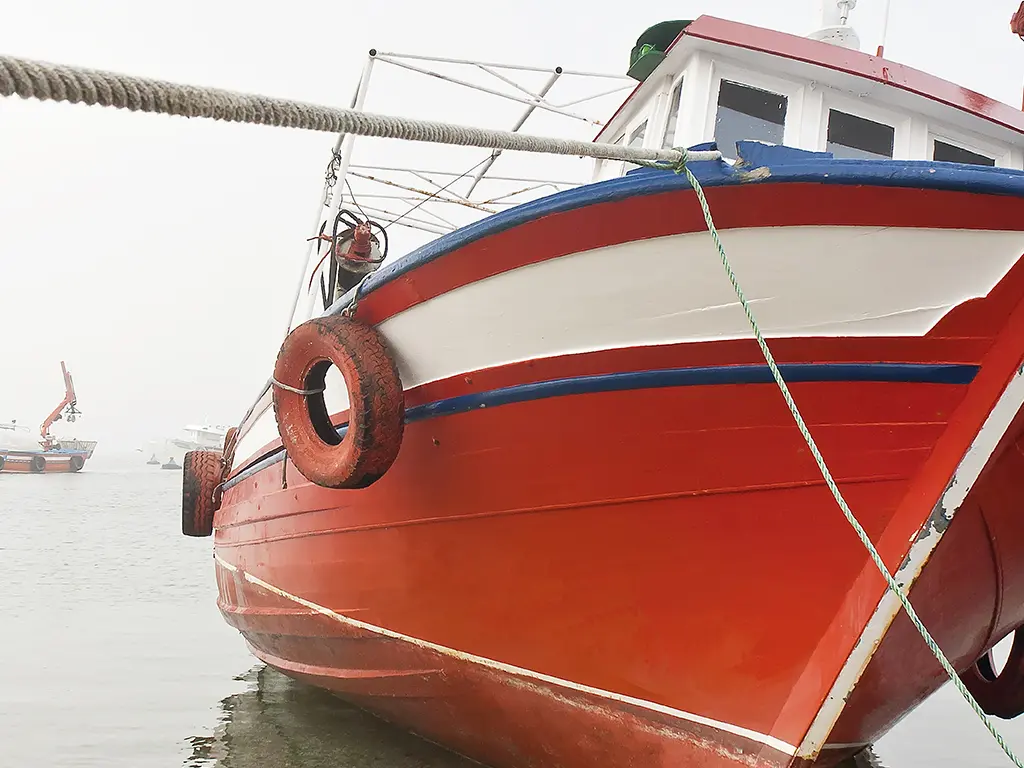 barco-pesca