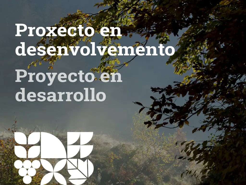 foto-proxectos-desenvolvemento23-27
